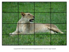 Puzzle-Löwe-2.pdf